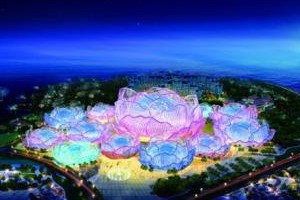 奇迹海的珊瑚天堂