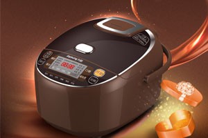 国产电饭煲调查