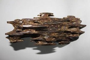 木头里的秘密沉香（上）