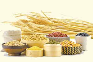 黄帝内经脾胃的神奇功能