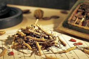 黄帝内经养生必养肾