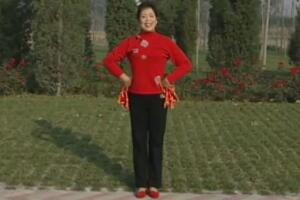 中老年健身操绢花秧歌（上）