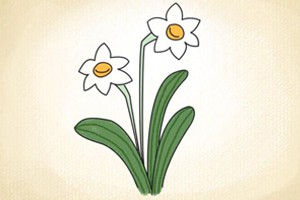 水仙花