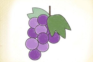 葡萄