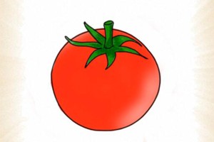 西红柿