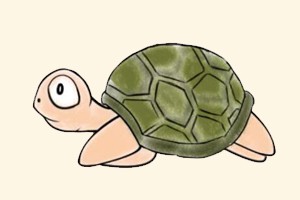 乌龟