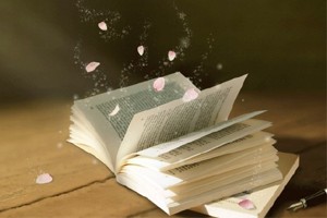 我是如何读书的我是如何读书的（上）