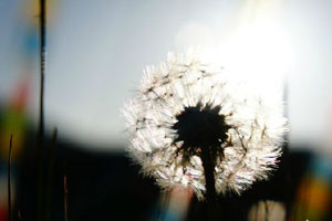 性善与向善性善与向善（上）