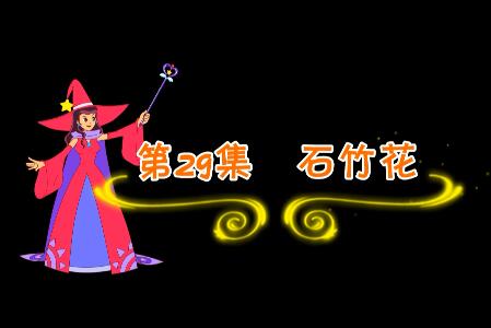 魔法妈妈故事妙妙屋第29集 石竹花
