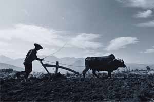  用思想史的逻辑推演（上）