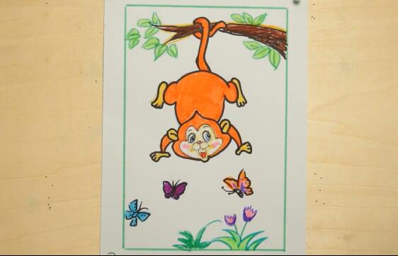 多彩动物园顽皮的小猴子（下）