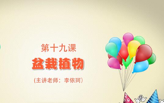 粘土手工课第一季第十九课 盆栽植物