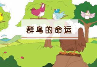 群鸟的命运