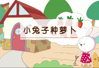 小兔子种萝卜