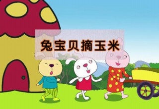 兔宝贝摘玉米