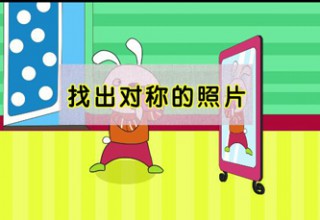 找出对称的照片