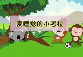 爱睡觉的小考拉