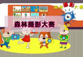 森林摄影大赛