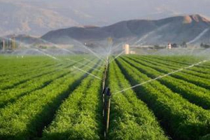 农业信息化（一）