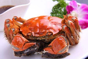 信息化和养螃蟹（上）