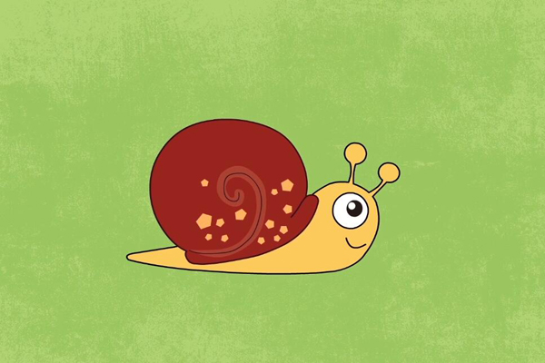 科普中国之阿优学科学蜗牛的“远亲”有多远