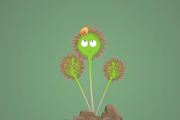 科普中国之阿优学科学真有吃人的植物吗