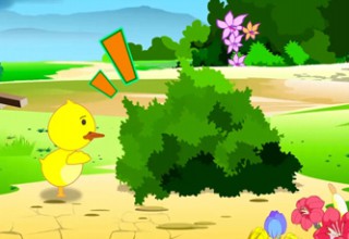 小鸭子迷路了