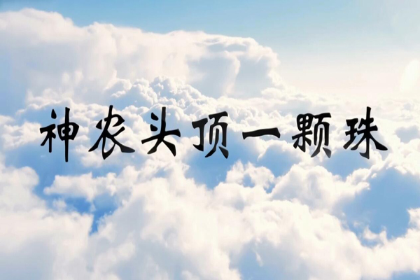 神话传说神农头顶一颗珠