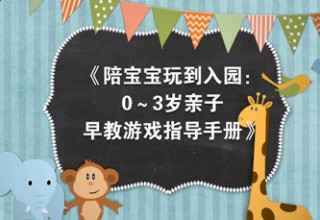 陪宝宝玩到入园0到3岁亲子早教游戏指导手册