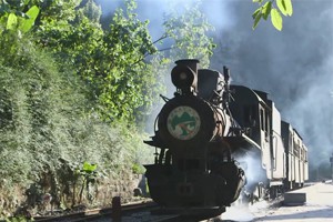 最后的小火车（上）