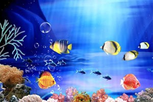 向大海深处探索（上）