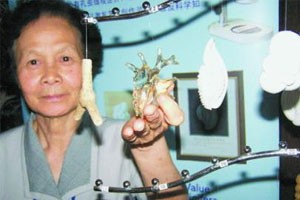 探寻海中小巨人（上）