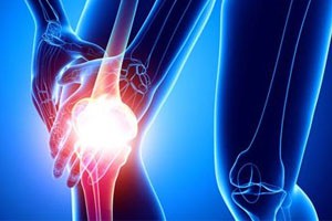 骨之奥秘（中）