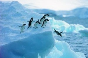 向南极进发（上）