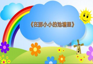 在那小小的池塘里